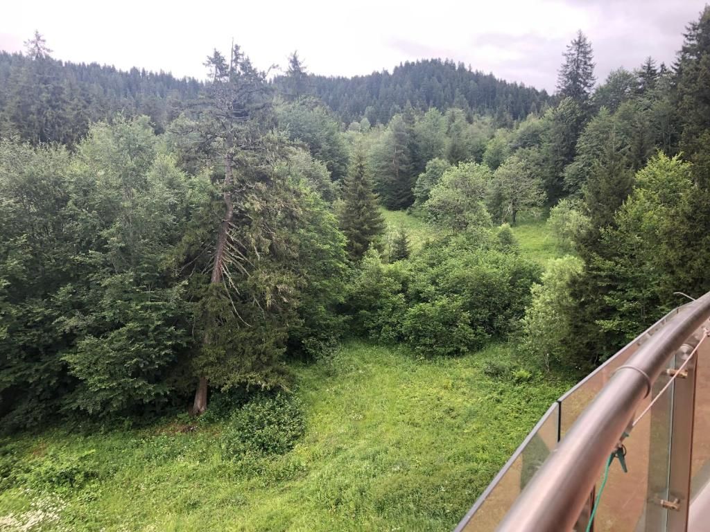 Апарт-отели Bakuriani House in Forest Бакуриани