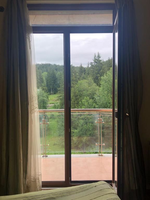 Апарт-отели Bakuriani House in Forest Бакуриани