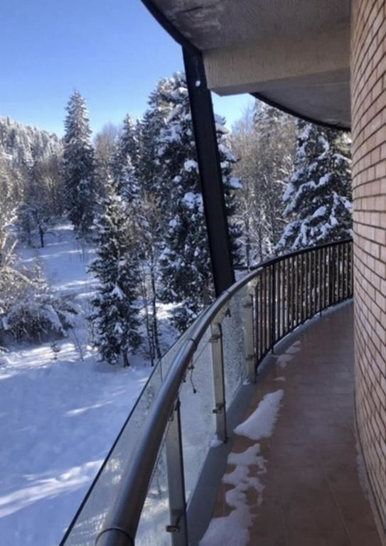 Апарт-отели Bakuriani House in Forest Бакуриани