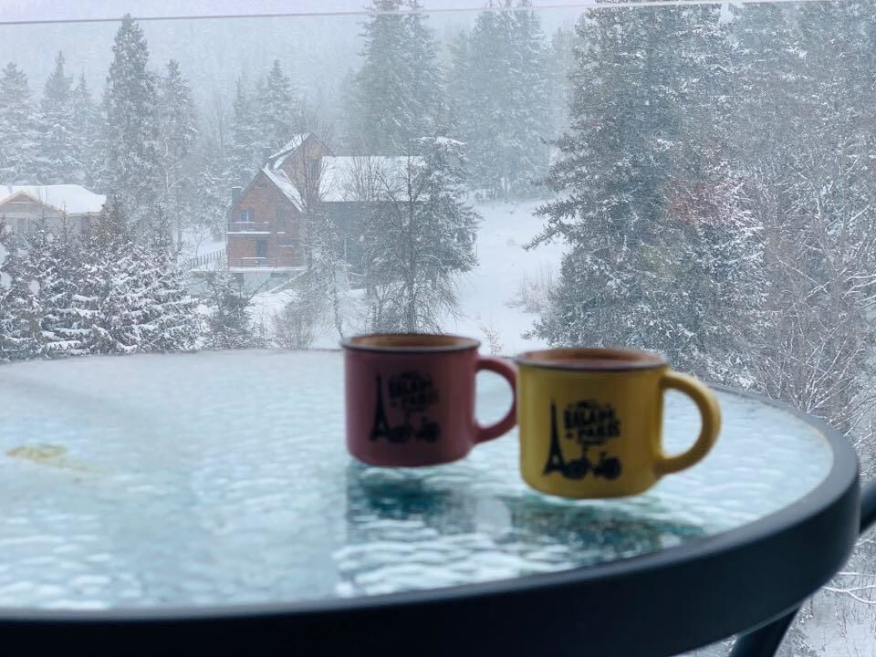 Апарт-отели Bakuriani House in Forest Бакуриани