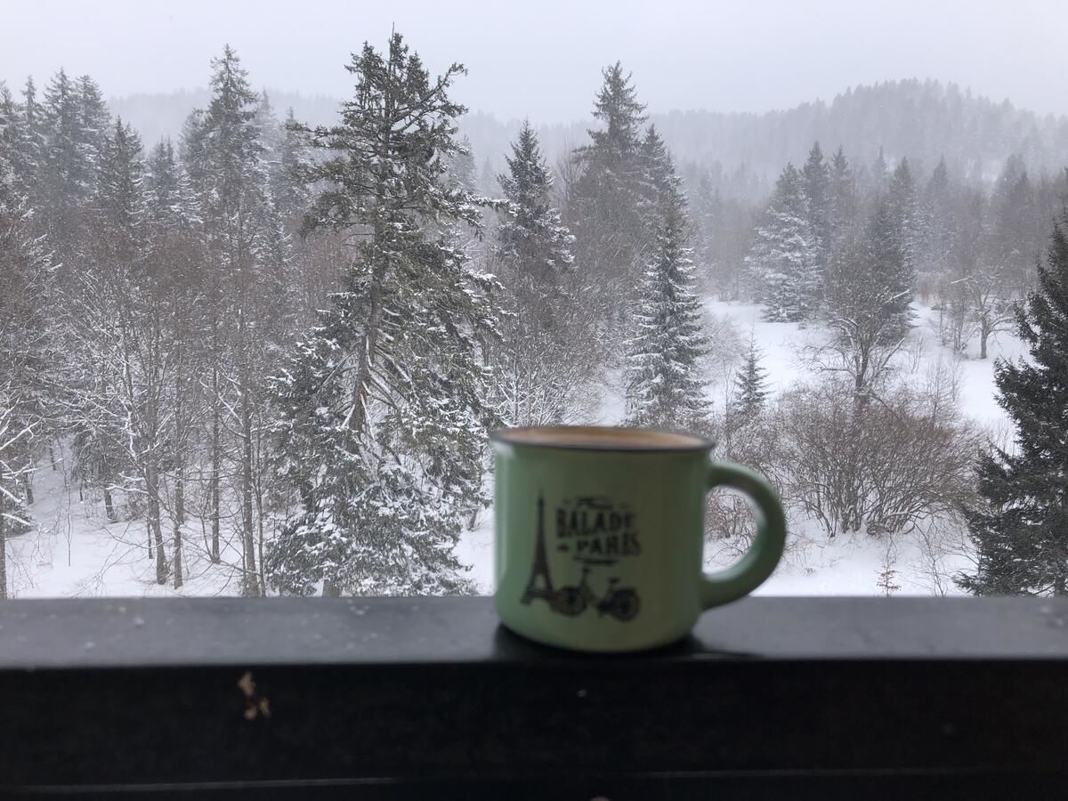 Апарт-отели Bakuriani House in Forest Бакуриани