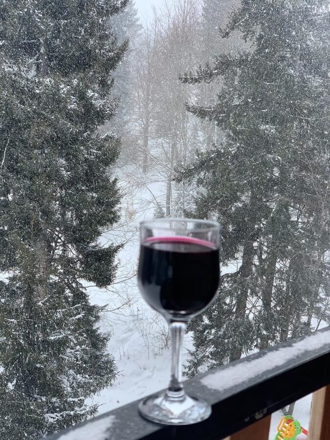 Апарт-отели Bakuriani House in Forest Бакуриани