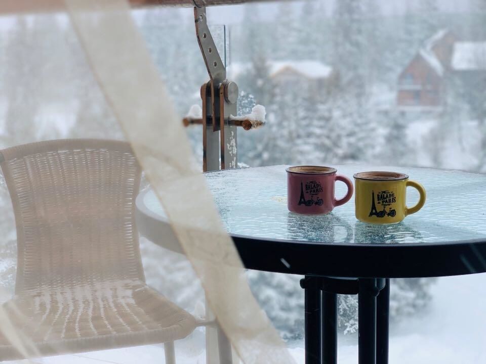 Апарт-отели Bakuriani House in Forest Бакуриани