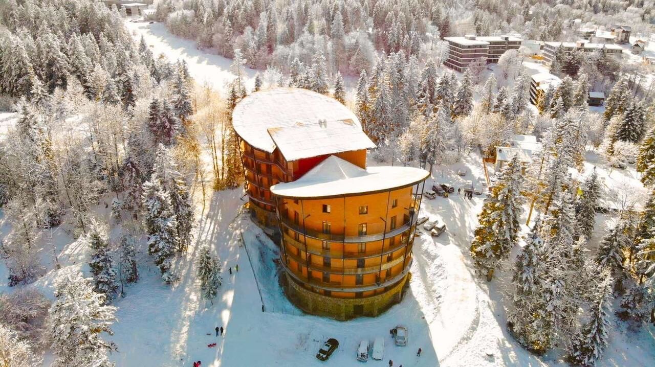 Апарт-отели Bakuriani House in Forest Бакуриани