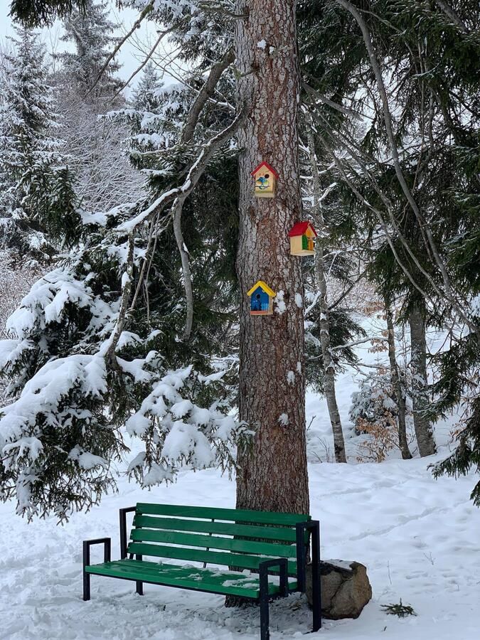Апарт-отели Bakuriani House in Forest Бакуриани
