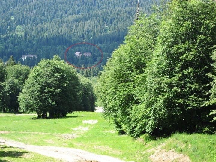 Апарт-отели Bakuriani House in Forest Бакуриани