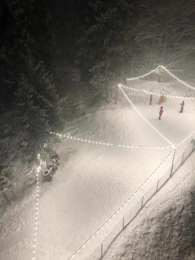 Апарт-отели Bakuriani House in Forest Бакуриани