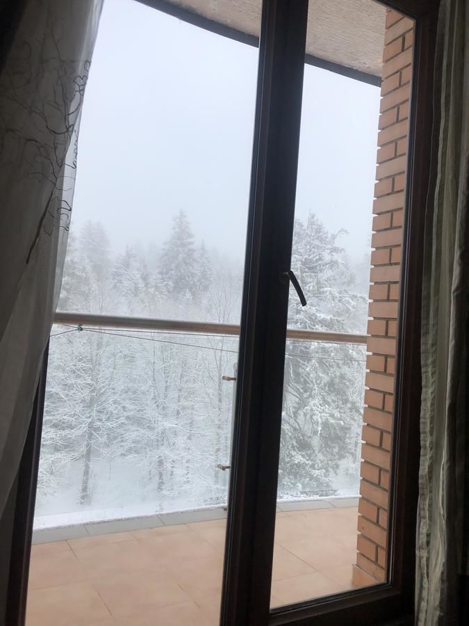 Апарт-отели Bakuriani House in Forest Бакуриани