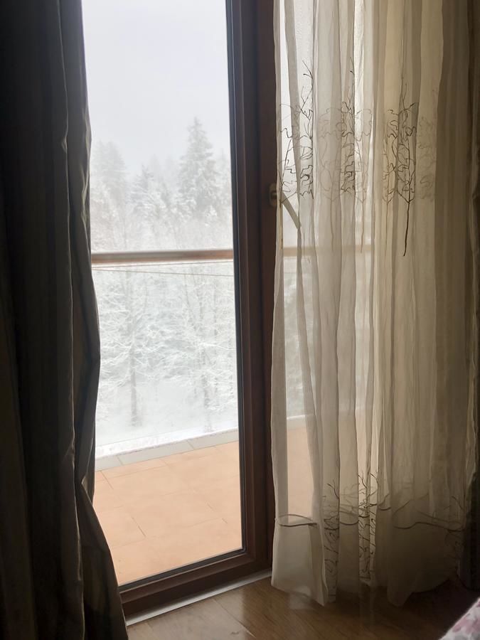 Апарт-отели Bakuriani House in Forest Бакуриани