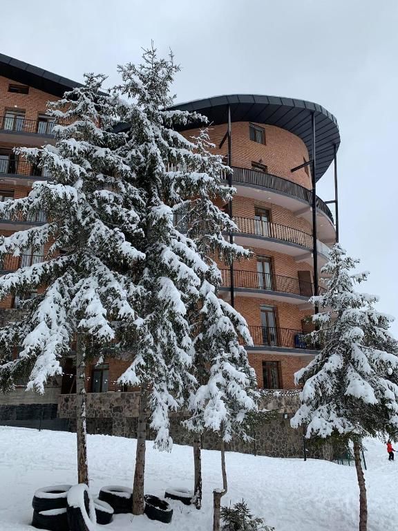 Апарт-отели Bakuriani House in Forest Бакуриани