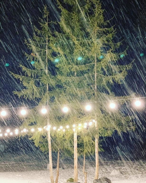 Апарт-отели Bakuriani House in Forest Бакуриани