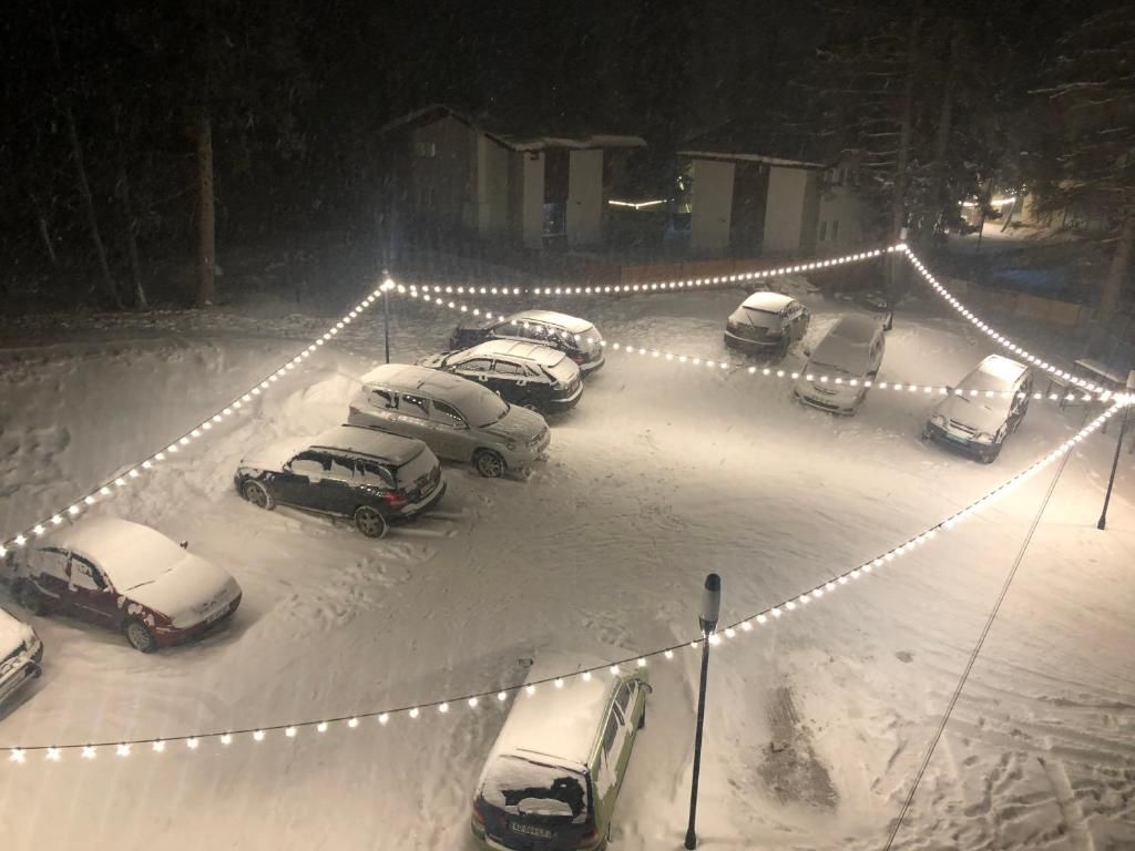 Апарт-отели Bakuriani House in Forest Бакуриани