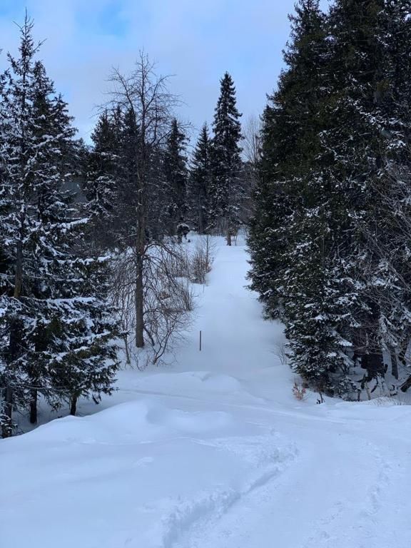 Апарт-отели Bakuriani House in Forest Бакуриани