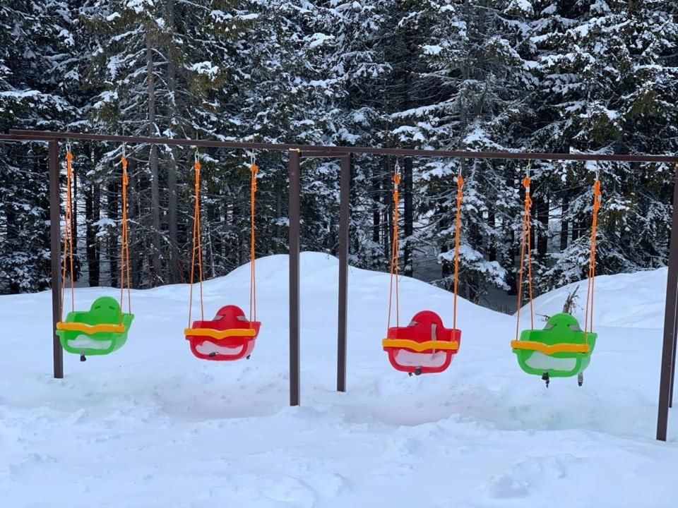 Апарт-отели Bakuriani House in Forest Бакуриани