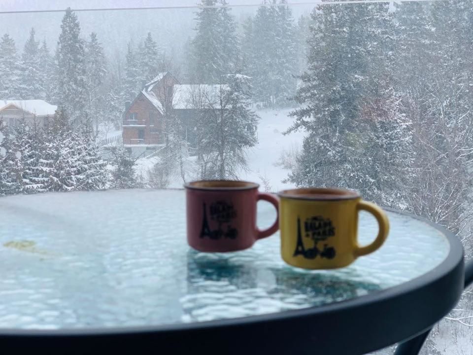 Апарт-отели Bakuriani House in Forest Бакуриани