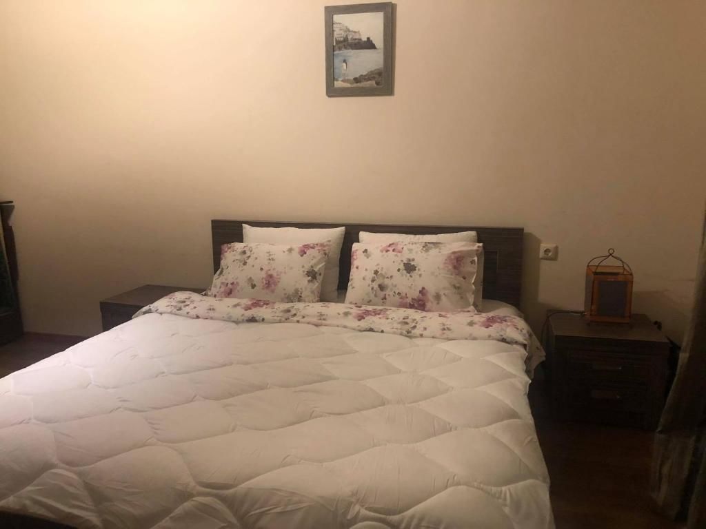 Апарт-отели Bakuriani House in Forest Бакуриани