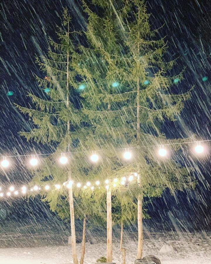 Апарт-отели Bakuriani House in Forest Бакуриани