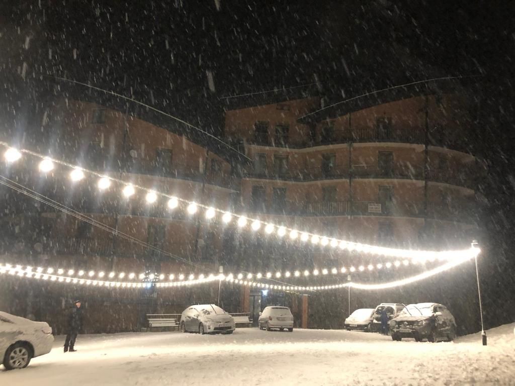 Апарт-отели Bakuriani House in Forest Бакуриани