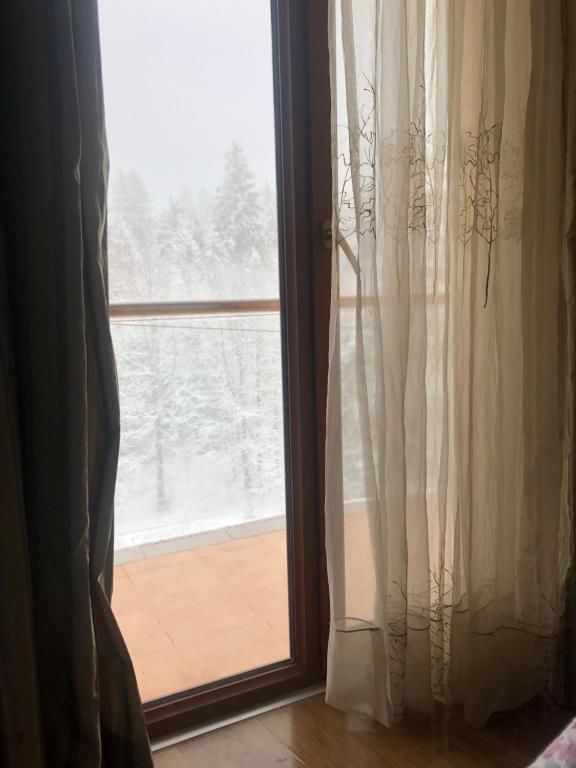 Апарт-отели Bakuriani House in Forest Бакуриани