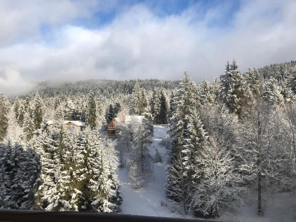 Апарт-отели Bakuriani House in Forest Бакуриани