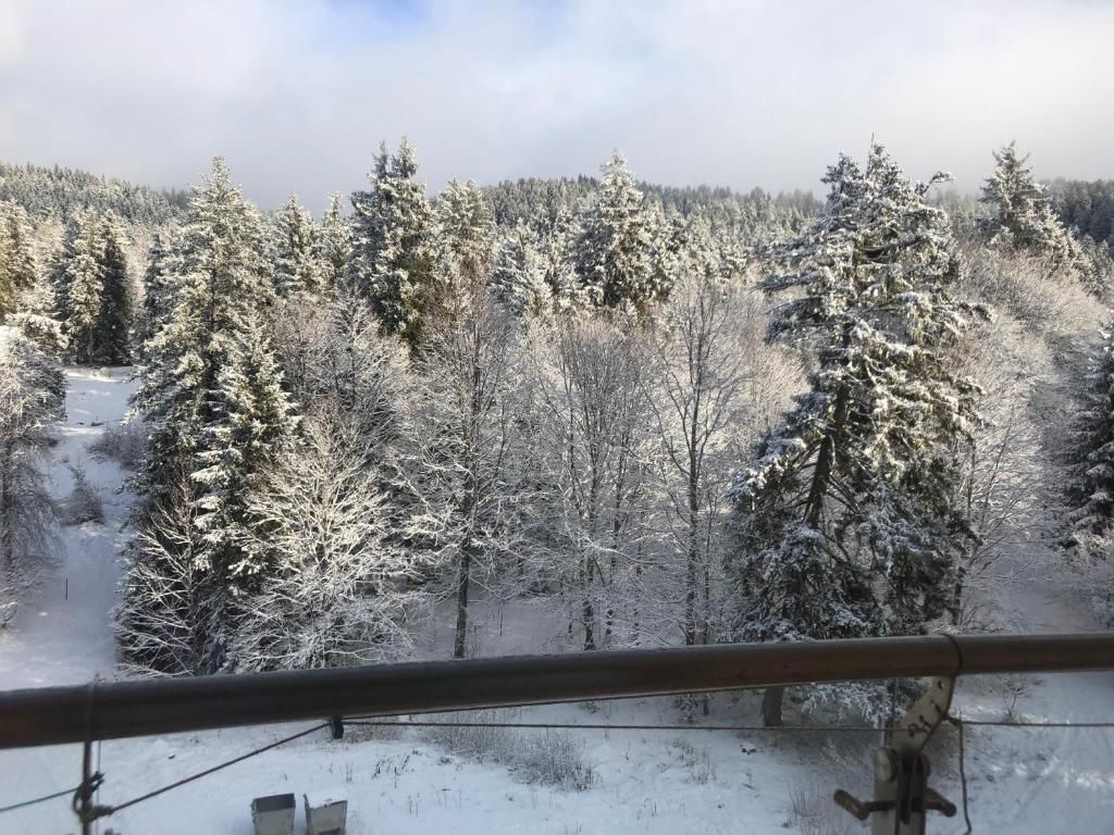 Апарт-отели Bakuriani House in Forest Бакуриани
