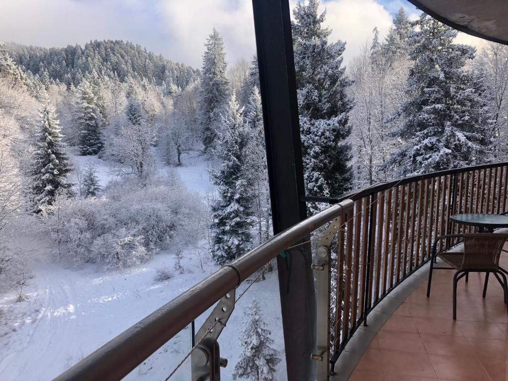 Апарт-отели Bakuriani House in Forest Бакуриани