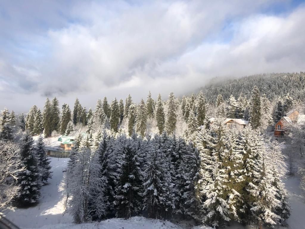 Апарт-отели Bakuriani House in Forest Бакуриани