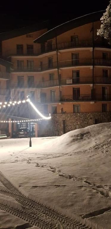 Апарт-отели Bakuriani House in Forest Бакуриани